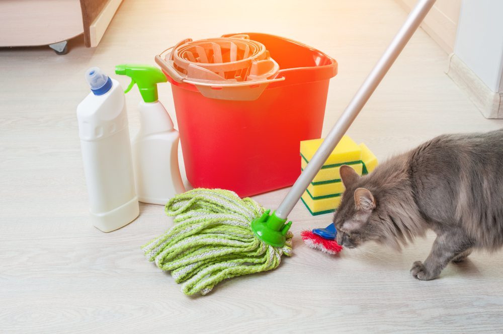 Woman Trying To Keep Her House Clean With Pets