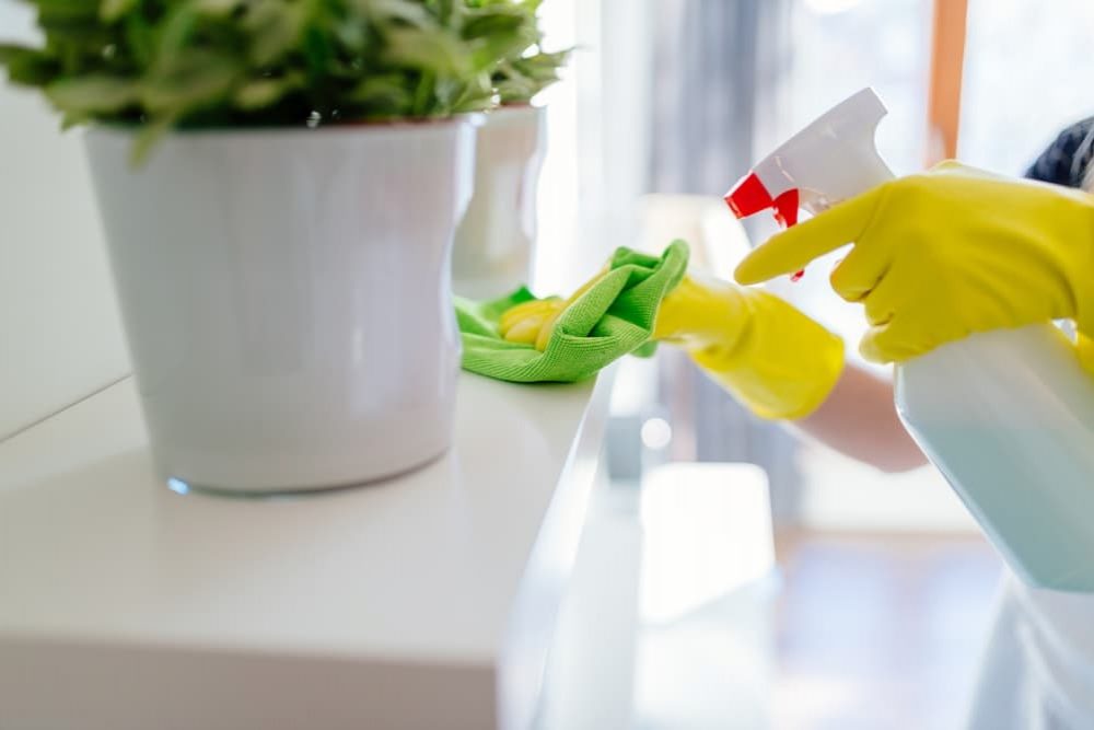 Woman Dusting Her Home With a Cleaning Shortcut