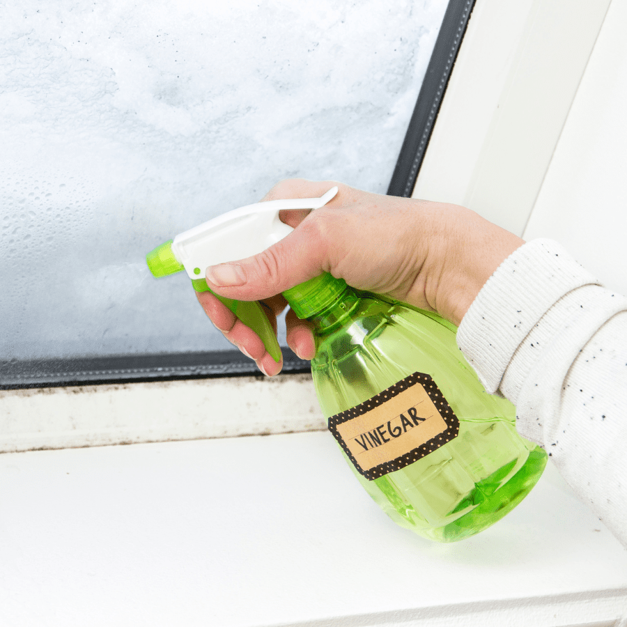 vinegar cleaning spray to clean dirty window