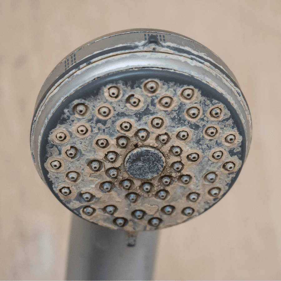 shower head with hard water stains