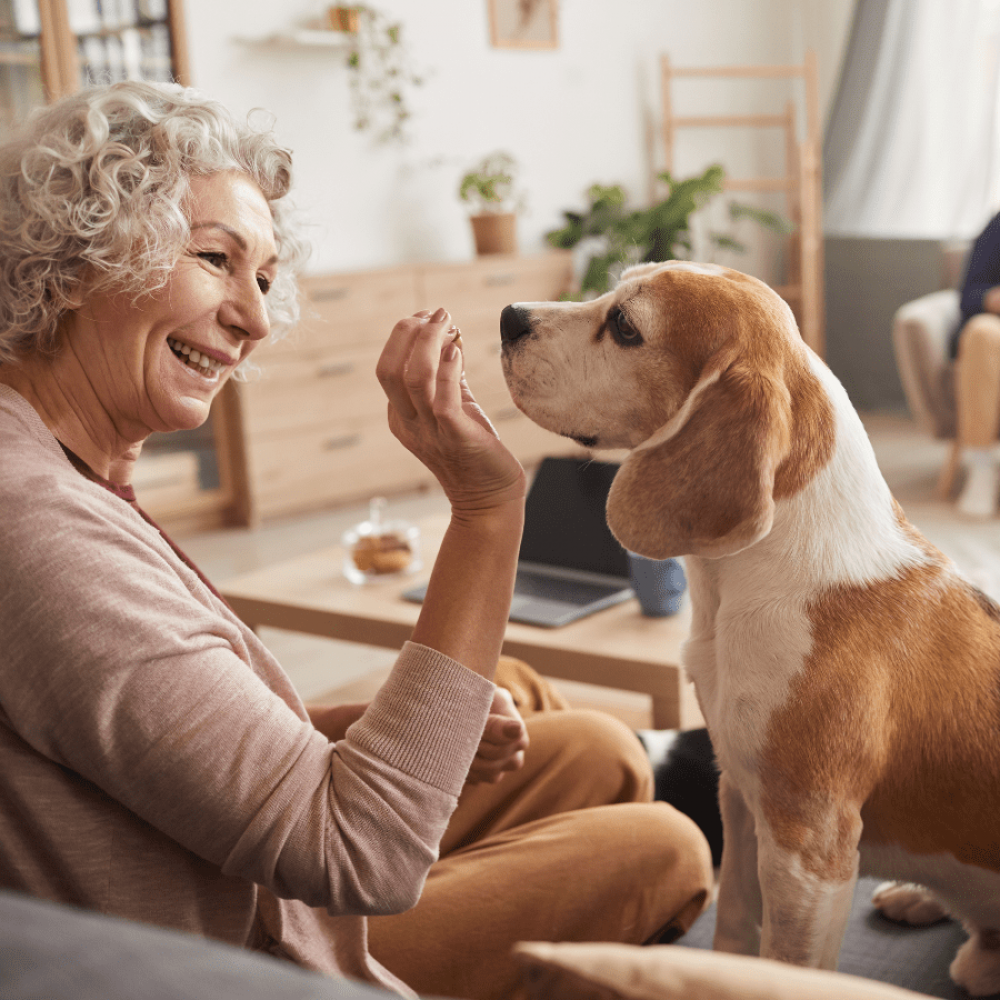 senior woman feeding a dog a treat in a clean home