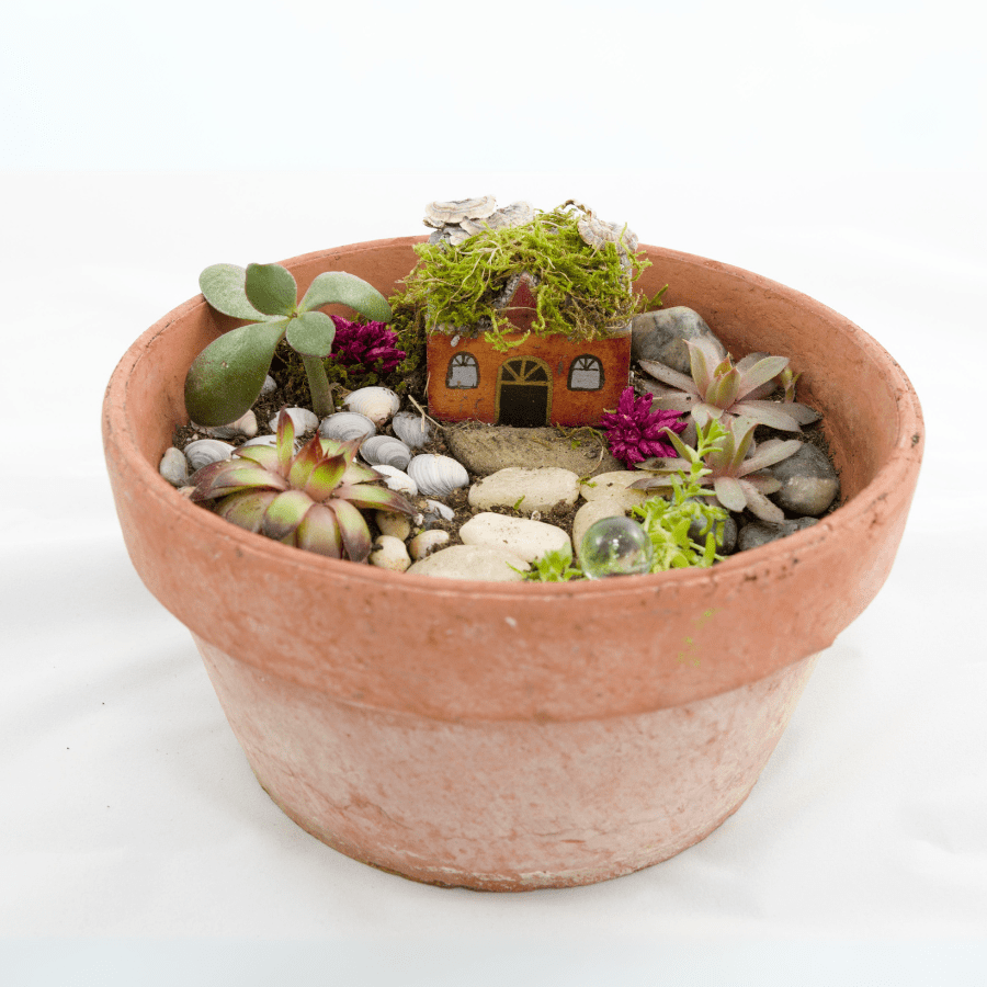 fairy garden in a pot 