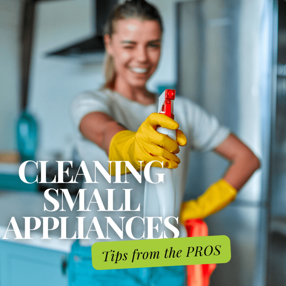 cleaning kitchen appliances in your home